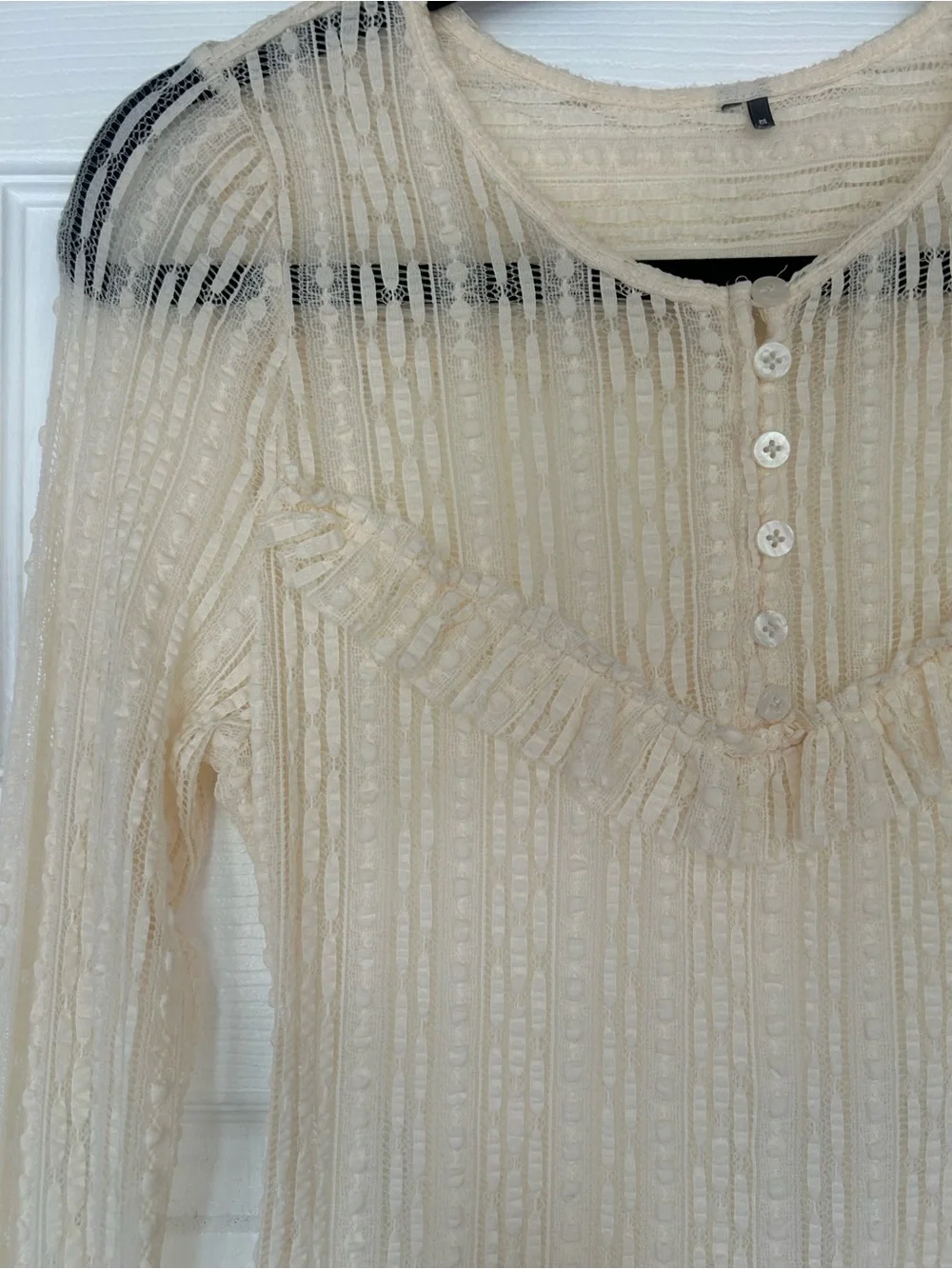 Anthropologie Sheer Lace Long Sleeve Top